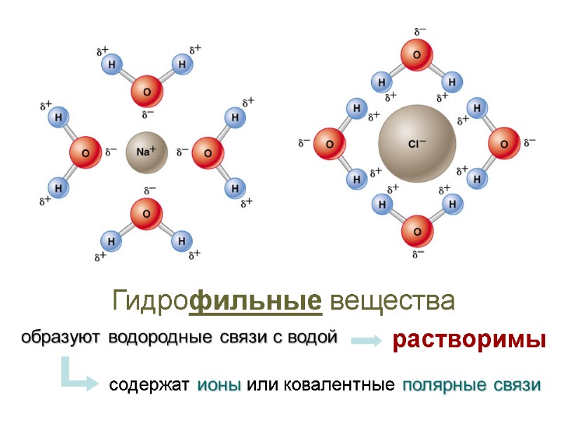 Гидрофильные вещества образуют водородные связи с водой  содержат ионы или ковалентные полярные связи